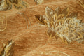 вид 12