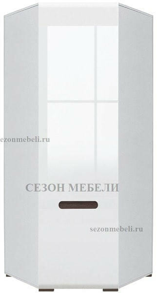 Шкаф угловой Ацтека SZFN1D/21/10
